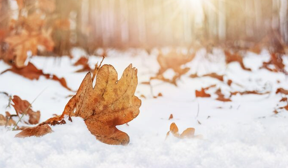 Фото: ru.freepik.com