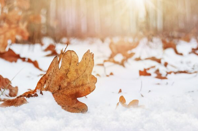 Ночью в Благовещенске будет около минус 16 градусов