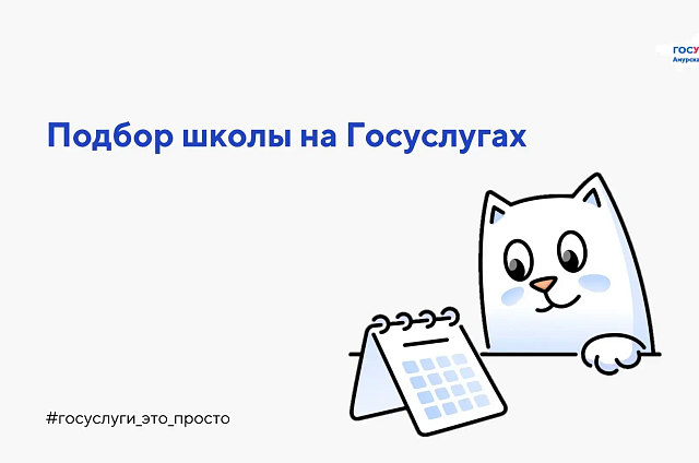 На Госуслугах запустили сервис подбора школ рядом с домом
