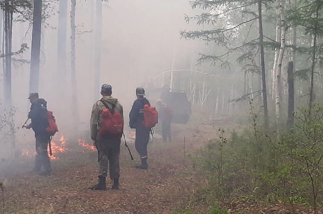 Пожарные 4 часа ликвидировали пал возле Тыгды