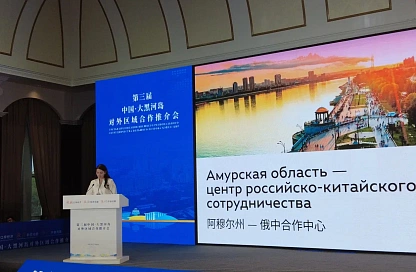 Мост, АГХК и сухой порт: амурская делегация показала в Хэйхэ перспективные проекты