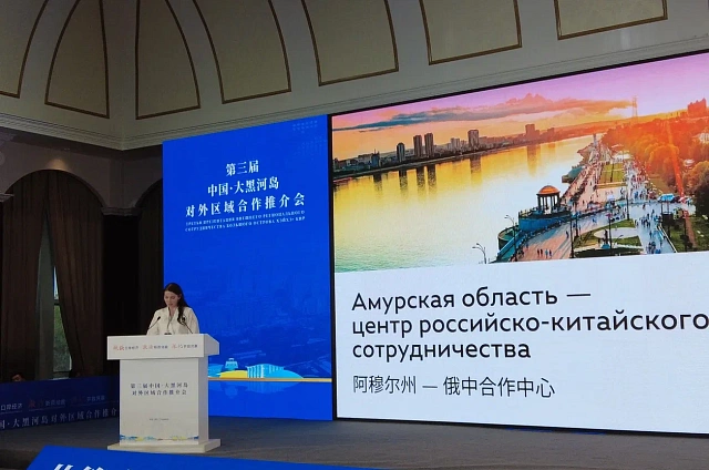 Мост, АГХК и сухой порт: амурская делегация показала в Хэйхэ перспективные проекты