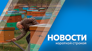 Новости короткой строкой. В Амурской области завершилась посевная компания. Военные следователи работают над выявлением мигрантов, которые уклоняются от воинского учета. Приамурье остается лидером по реализации программы «Дальневосточный гектар».