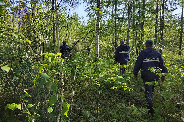 Амурские спасатели обнаружили в лесу возле посёлка Чалганы тело мужчины