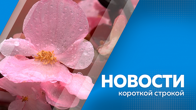 Новости короткой строкой. В Тынде продолжается ремонт дорог по нацпроекту «Инфраструктура для жизни». Жителей Благовещенска просят не ходить по недавно газону на территории «Трибуна Холл». На озере в селе Плодопитомник утонул 31-летний мужчина.