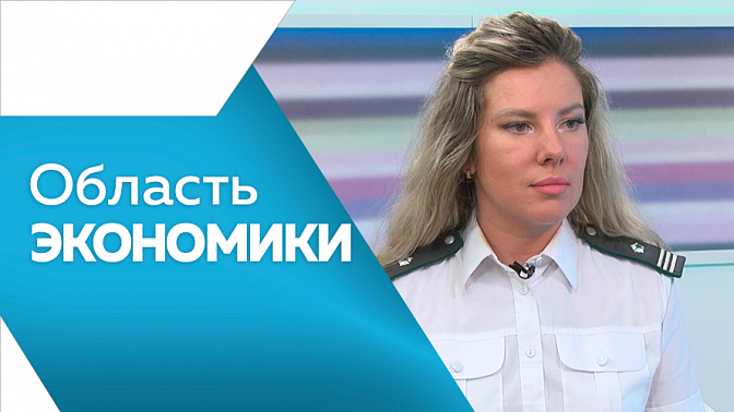 Область экономики. Необходимость активного внедрения искусственного интеллекта, автоматизации предприятий и цифровых платформ в агропромышленный комплекс. Амурская область вошла в число лидеров промышленного туризма России.