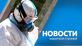 Новости короткой строкой. Эксперты Амурского Центра организации дорожного движения приняли участие в международном форуме. Полсотни амурских детей обеспечат льготными лекарствами. Оперативный штаб по биологической безопасности создан в Приамурье. 