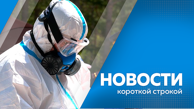 Новости короткой строкой. Эксперты Амурского Центра организации дорожного движения приняли участие в международном форуме. Полсотни амурских детей обеспечат льготными лекарствами. Оперативный штаб по биологической безопасности создан в Приамурье. 