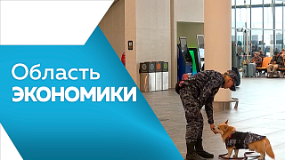В Приамурье продолжается газификация. Василий Орлов предложил увеличить частоту полётов из Благовещенска. Летняя навигация на Амуре между Благовещенском и Хэйхэ подходит к концу. Что изменится для бизнеса в регионе.
