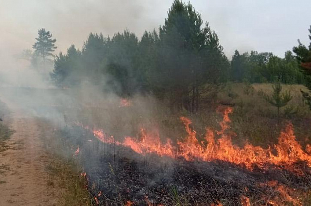 Сегодня в Приамурье действует 69 природных пожаров, 25 из них находятся в труднодоступной местности