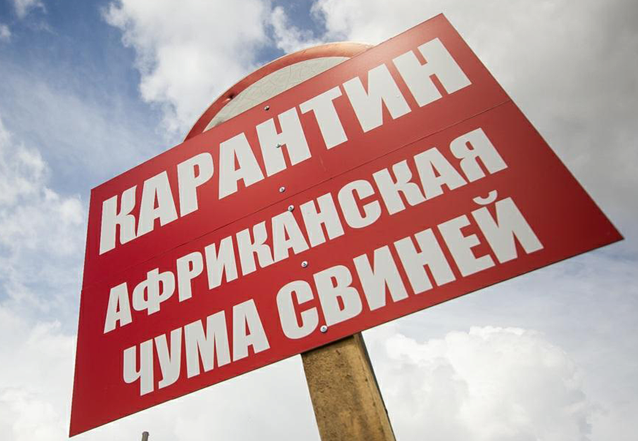Фото: управление ветеринарии Амурской области