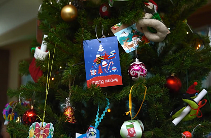Письма с верой в чудо: в Приамурье пройдёт акция «Ёлка желаний»