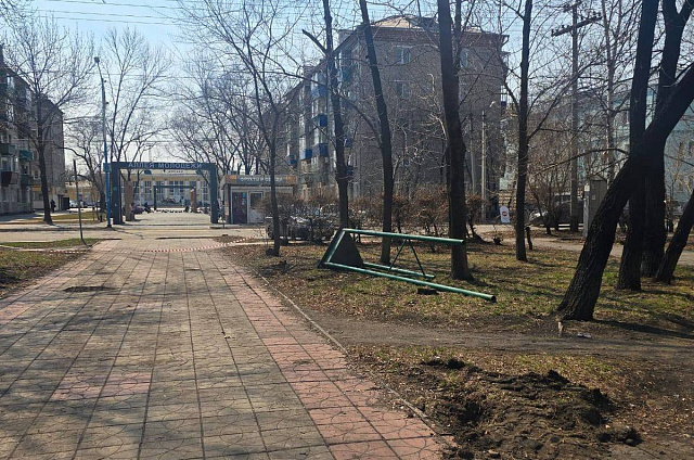 Более 22 тысяч амурчан приняли участие во Всероссийском голосовании по выбору объектов для благоустройства