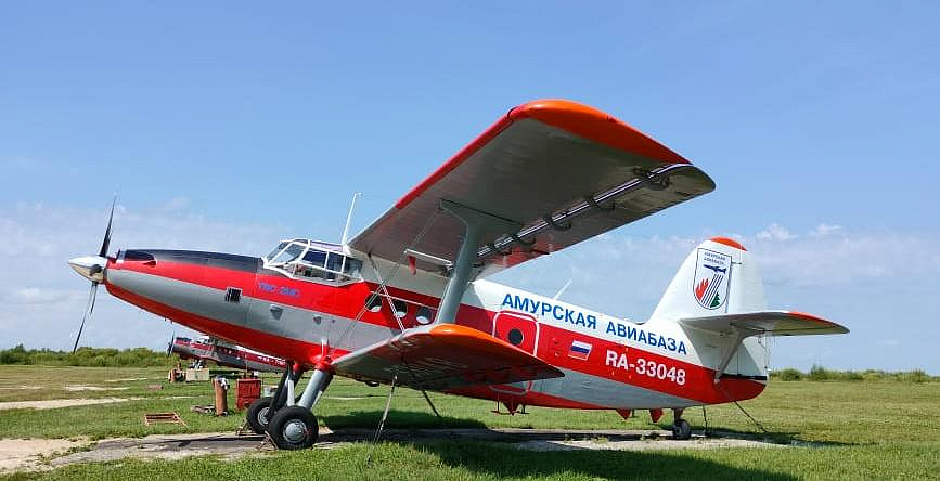 Фото: Амурский Минлес