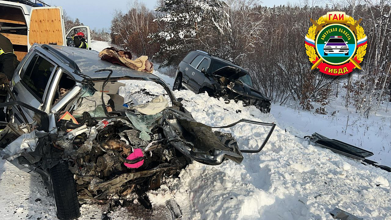 Фото: Госавтоинспекция Амурской области