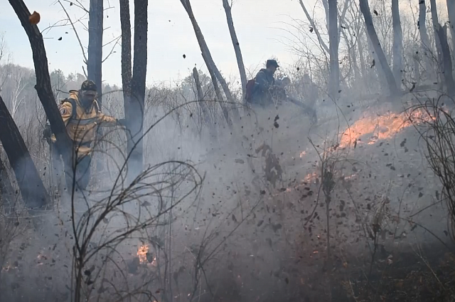 В Приамурье за нарушения правил пожарной безопасности составили 700 протоколов на сумму в 2 миллиона рублей