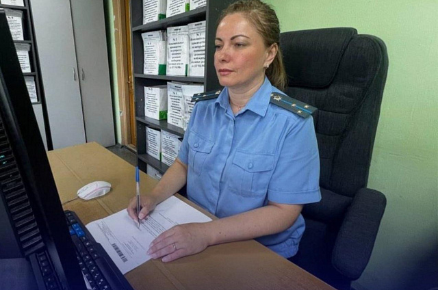 Последствия уголовной ответственности побудили амурчанина погасить долг по алиментам