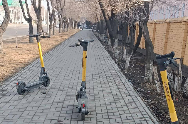В Благовещенске обсудили, как дисциплинировать пользователей электросамокатов