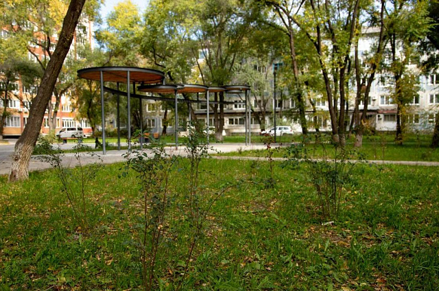 К открытию четырёх новых мест для тихого отдыха готовятся благовещенцы