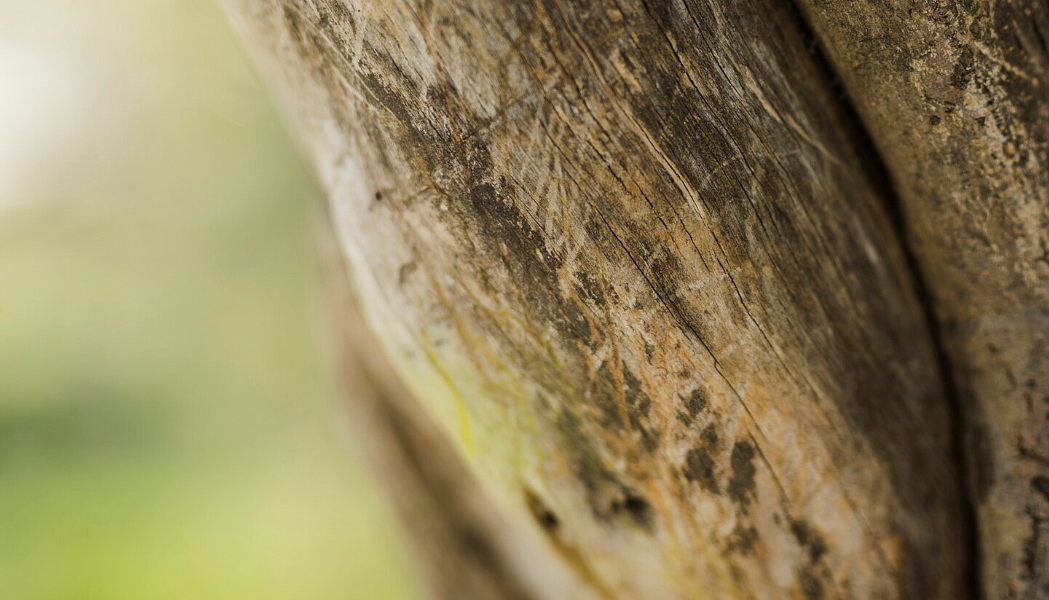 Фото: ru.freepik.com