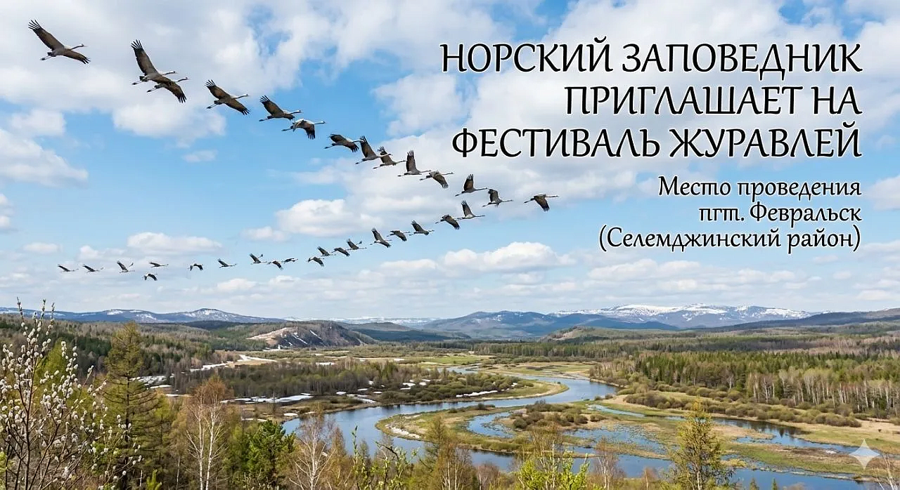 Фото: max.ru/id2801130936_gos