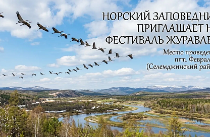 Норский заповедник приглашает амурчан на фестиваль День журавлей