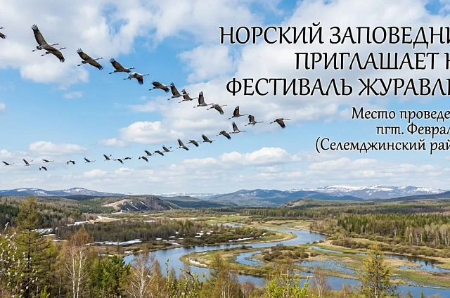 Норский заповедник приглашает амурчан на фестиваль День журавлей