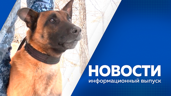 Новости. В Государственную Думу внесли законопроект о защите россиян от бездомных животных. Первое занятие для участниц благовещенского отделения женской гвардии. Персональная выставка «Мой город, улицы и лица» Николая Левченко. 