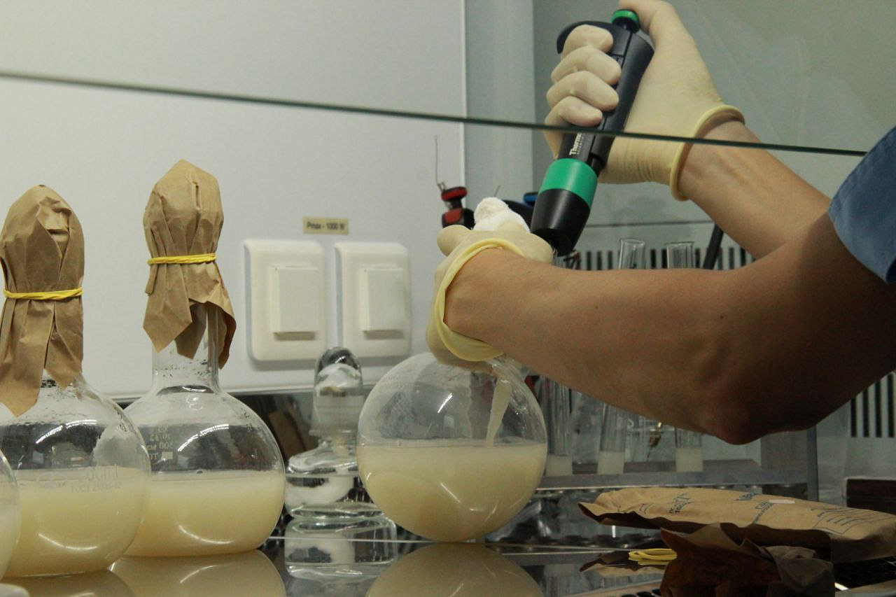 Фото: https://t.me/OrlovAmur