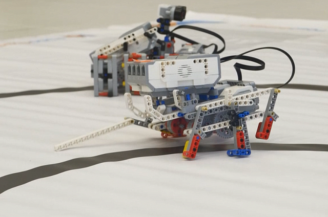 Региональные соревнования по робототехнике «Танковый робибиатлон» прошли в Благовещенске