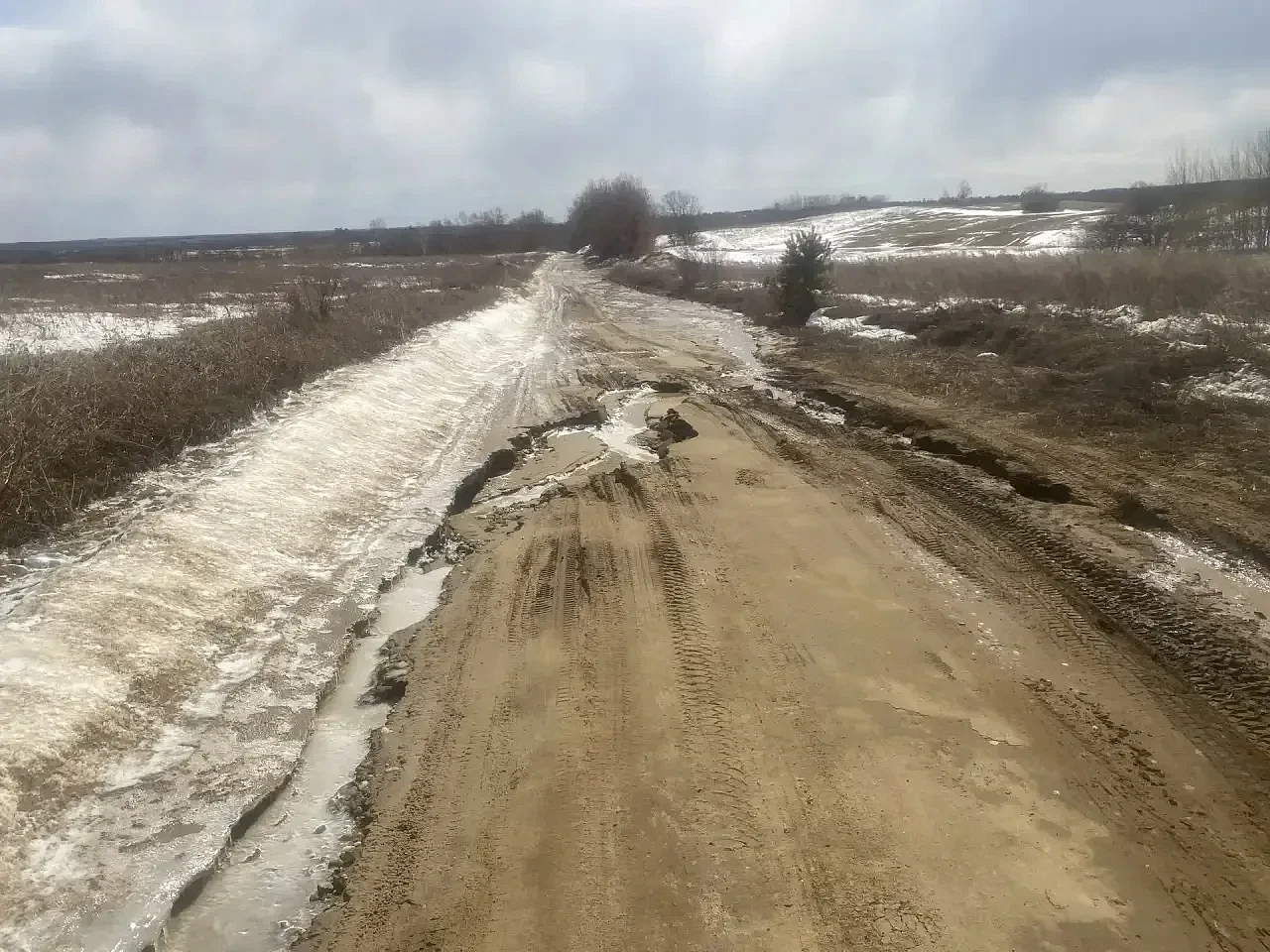 Фото: max.ru/mintrans_amur