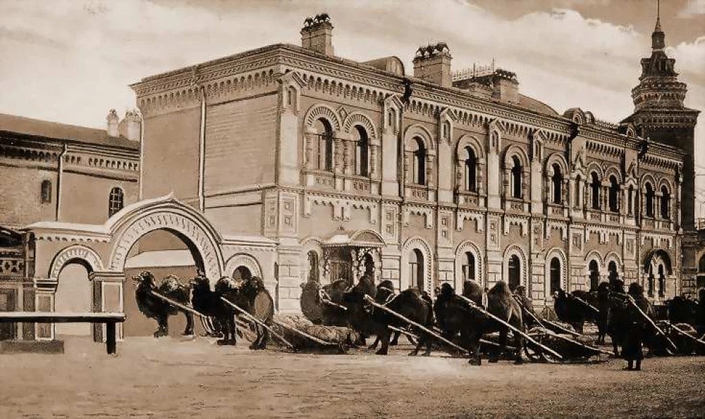 Фото: amurobl.ru