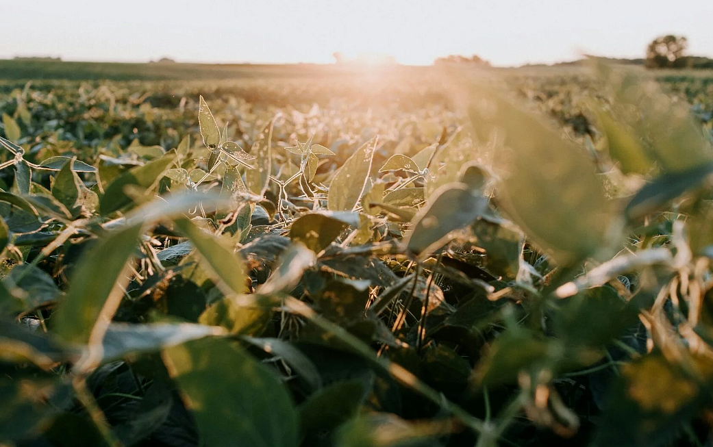 Фото: amsupaper.ru