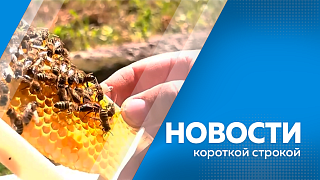 Новости короткой строкой. На Бурейской ГЭС успешно завершили антитеррористические учения. В Благовещенске борются с последствиями дождей. В Белогорске продолжается благоустройство третьей очереди аллеи Молодёжи. 