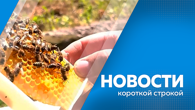 Новости короткой строкой. На Бурейской ГЭС успешно завершили антитеррористические учения. В Благовещенске борются с последствиями дождей. В Белогорске продолжается благоустройство третьей очереди аллеи Молодёжи. 