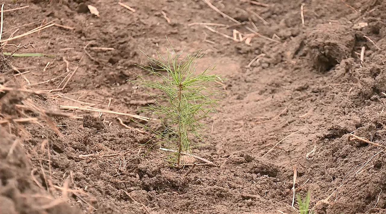 Фото: архив АОТВ