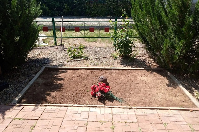 Амурские поисковики вернулись с «Вахты памяти» в Волгоградской области