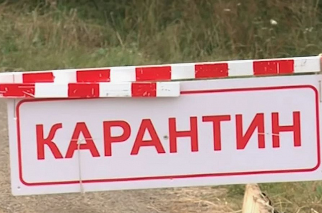 Карантин по бешенству ввели в двух сёлах Белогорского округа