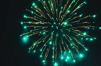 Места продажи пиротехники проверили специалисты в областном центре