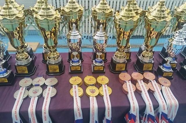 Золото в копилку: амурские боксёры завоевали 10 медалей на первенстве ДФО