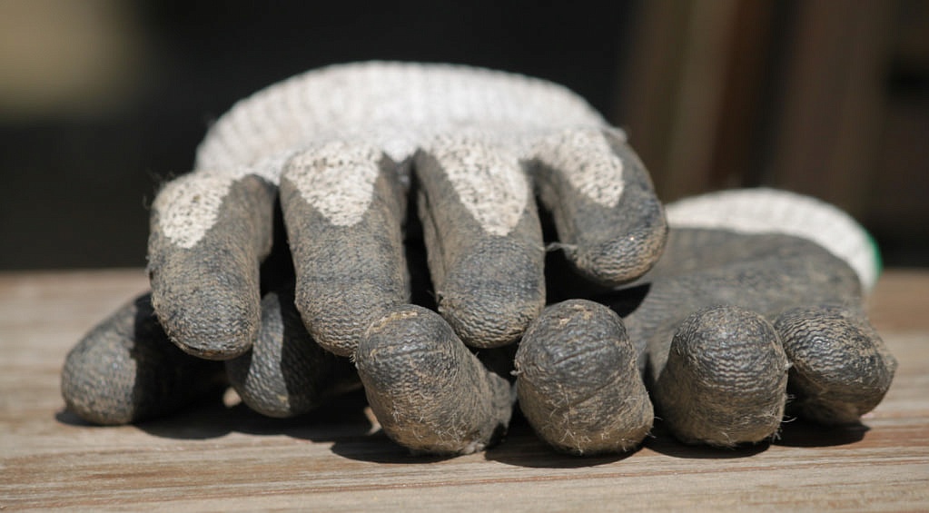 Фото: pxhere.com