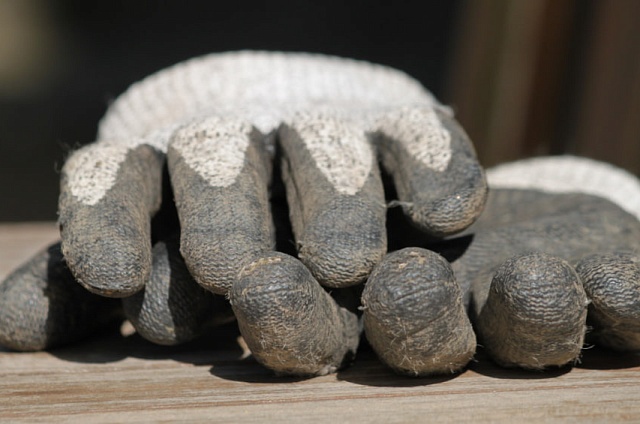 Трудовая реабилитация: амурские кадровики помогают найти работу тем, кто готовится выйти на свободу