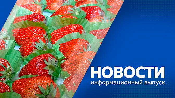 Новости. Амурские ученики 6-7 классов останутся без обществознания. Школьники - целевая аудитория аферистов. В Тамбовском округе строят новую ферму. Российско-китайский молодежный библиотечный конвент. 