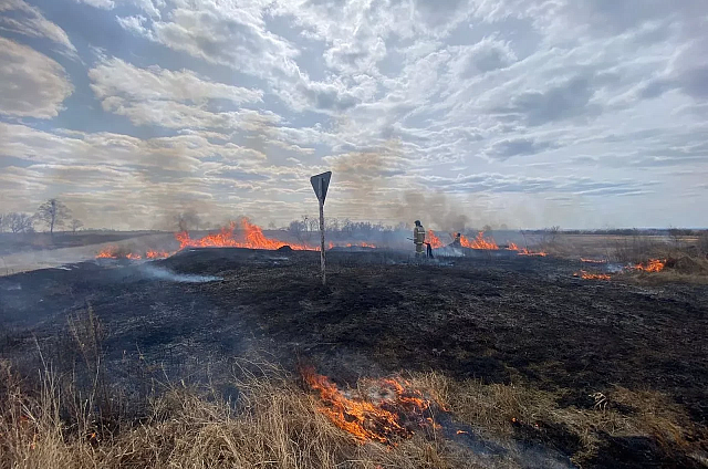 Беспилотники и авиация следят за пожарами в Амурской области