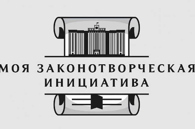 В Приамурье начался региональный этап Всероссийского конкурса «Моя законотворческая инициатива»