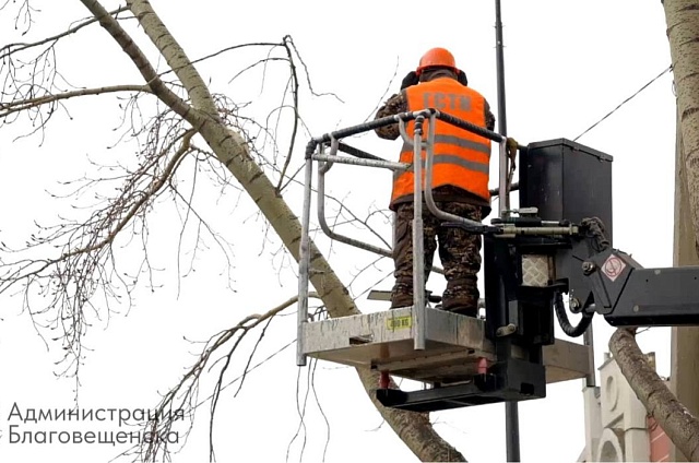 Более сотни деревьев привели в порядок в Благовещенске с начала года