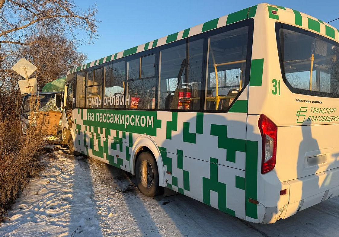 Фото: СУ СК РФ по Амурской области