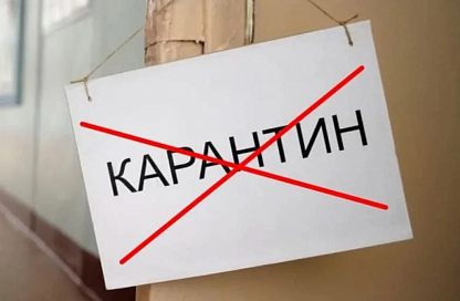 В селе Гродеково Благовещенского округа отменили карантин по бешенству