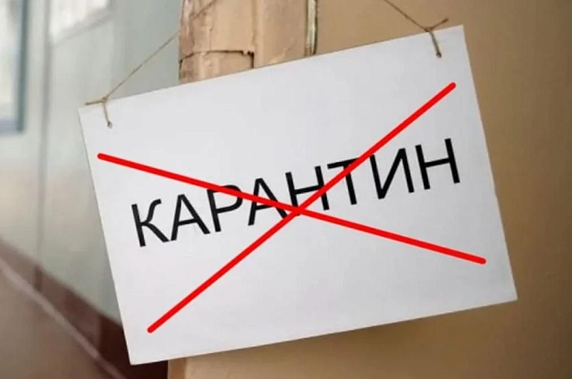 В селе Гродеково Благовещенского округа отменили карантин по бешенству