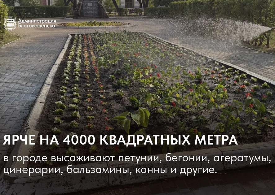 Фото: max.ru/blagoveshchensk_rf